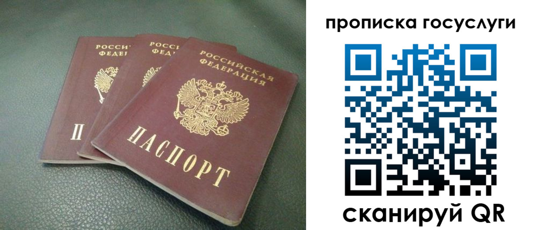 временная регистрация госуслуги в Ростовской области